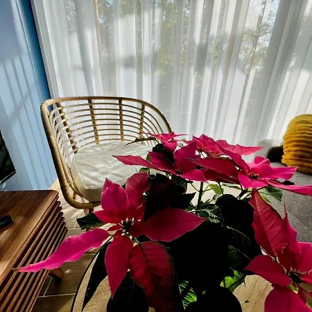 Aranygesztenye Apartmanhaz * Balatonudvari