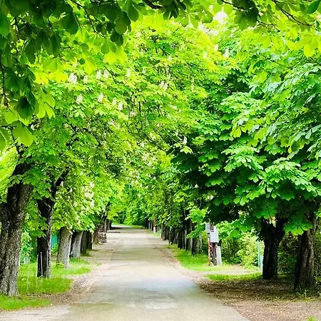 Aranygesztenye Apartmanhaz Balatonudvari