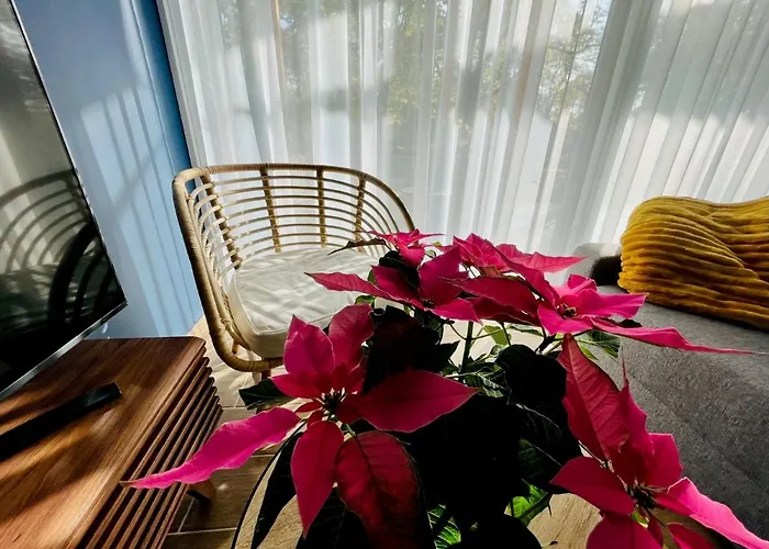 Aranygesztenye Apartmanhaz * בלטונודבארי