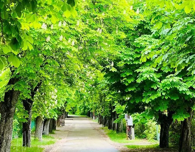 Aranygesztenye Apartmanhaz Balatonudvari